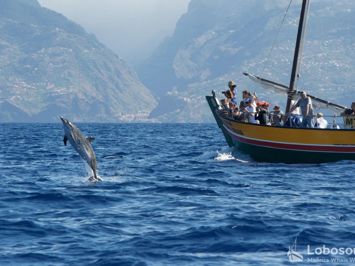 a boat on a body of water with a mountain in the background